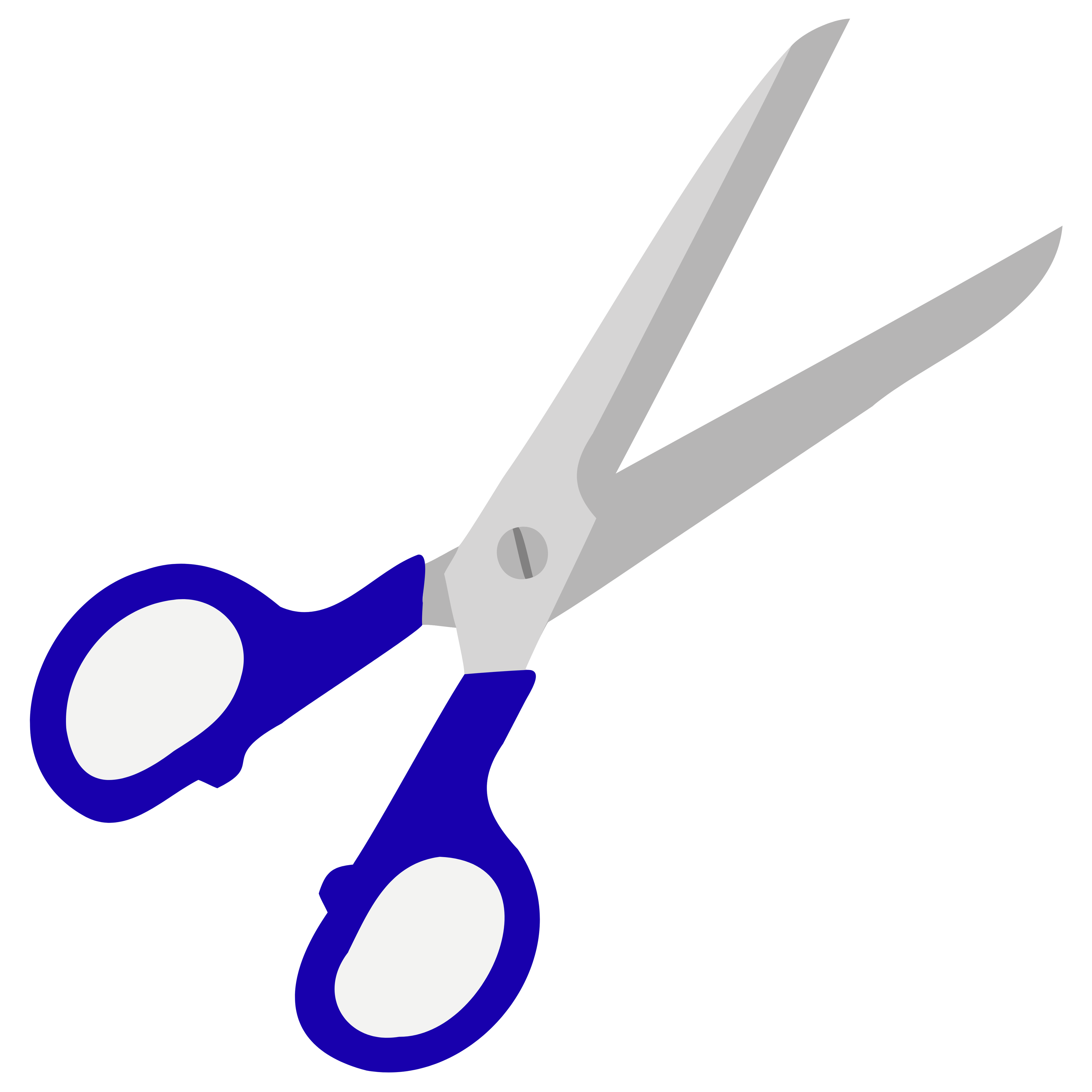 Heavy Duty Scissors
