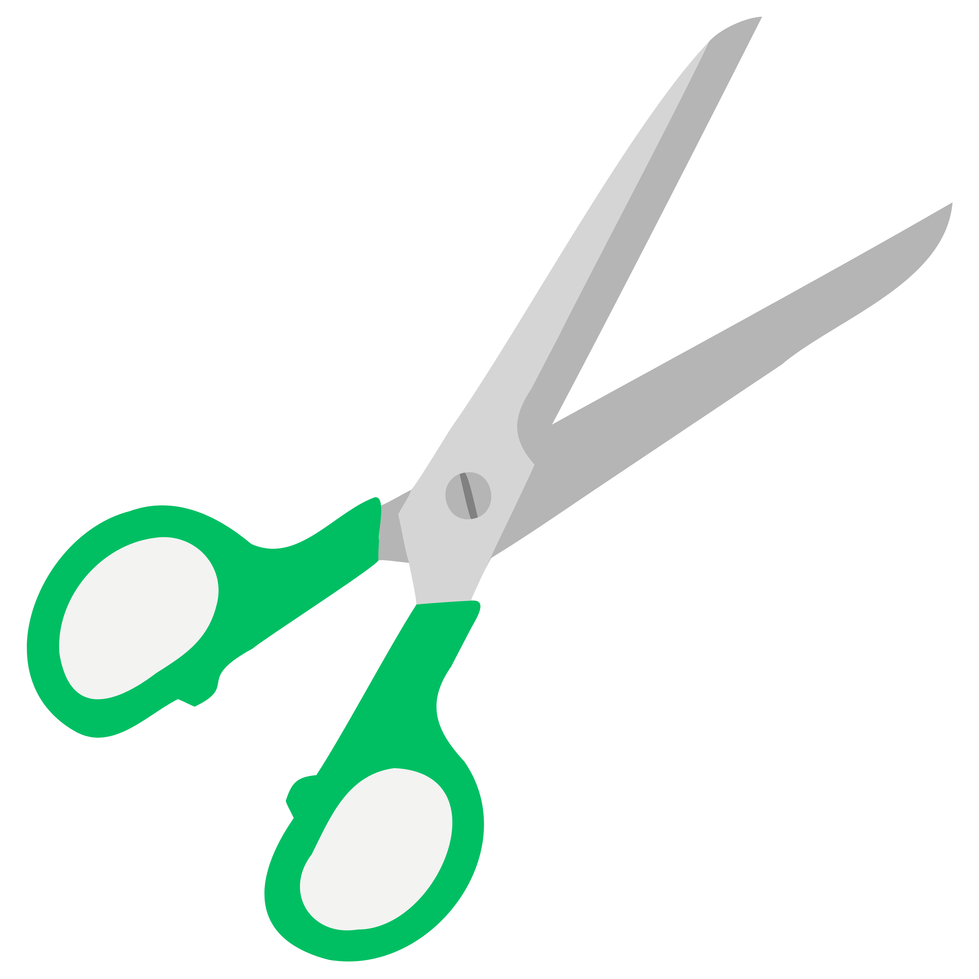 Heavy Duty Scissors