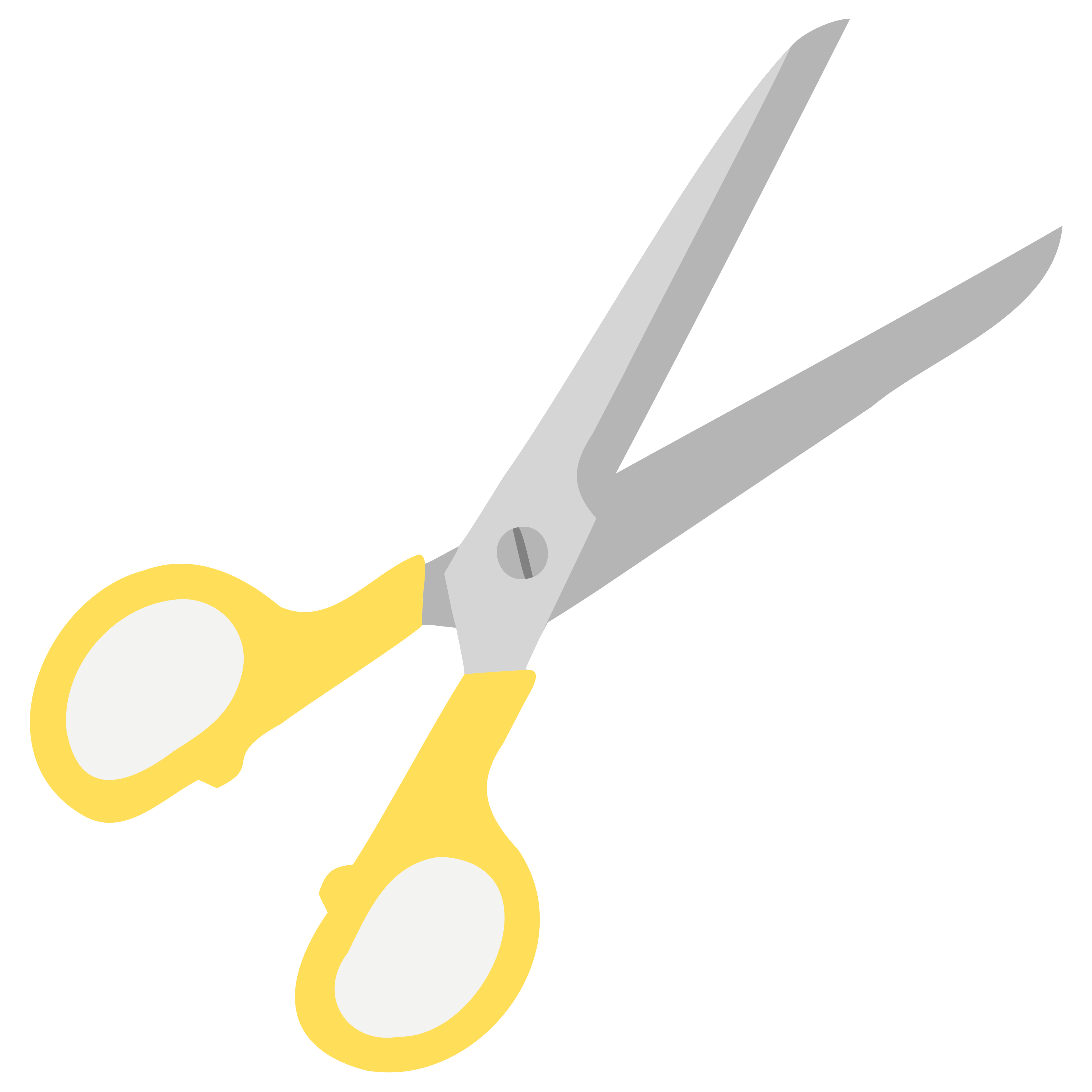 Heavy Duty Scissors