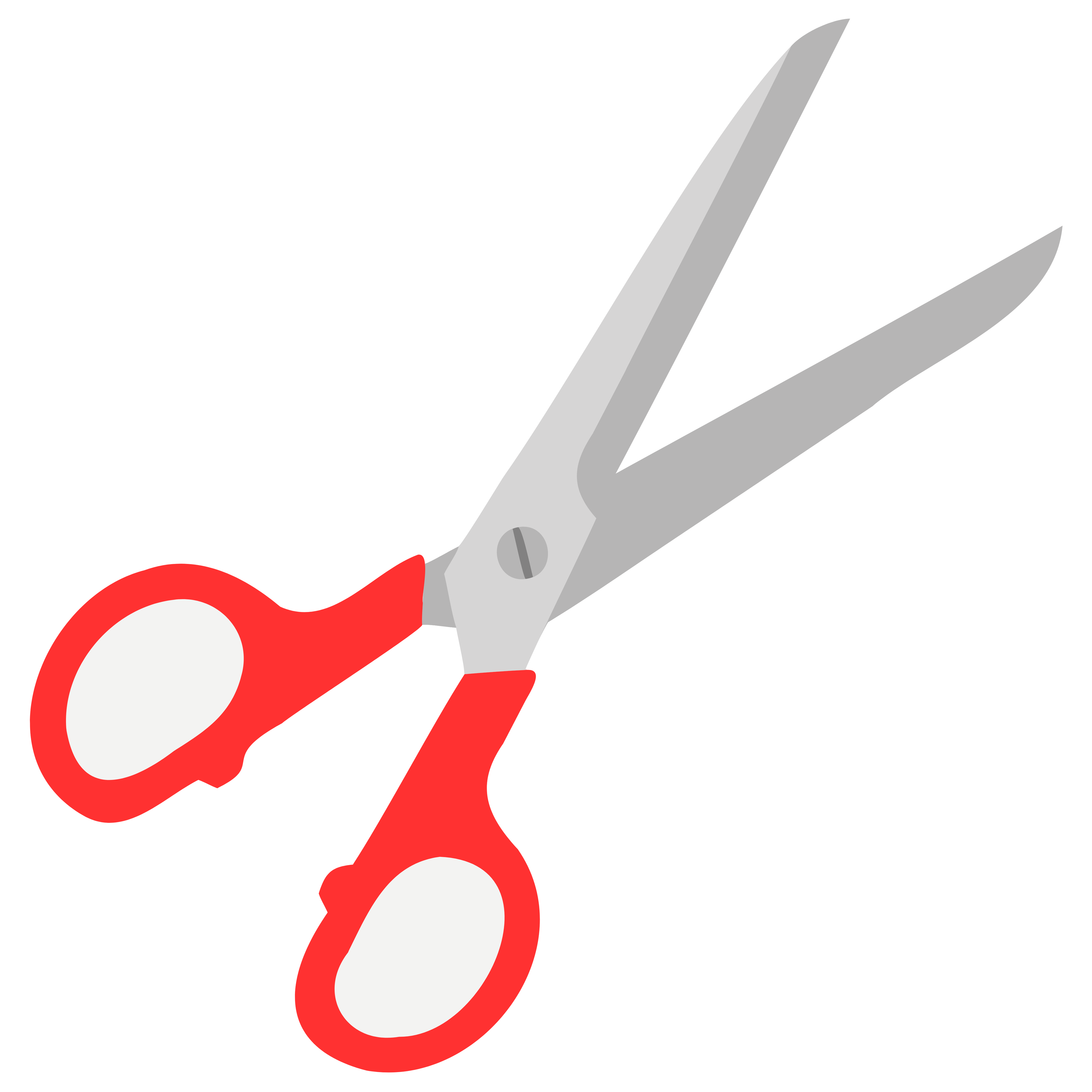 Heavy Duty Scissors