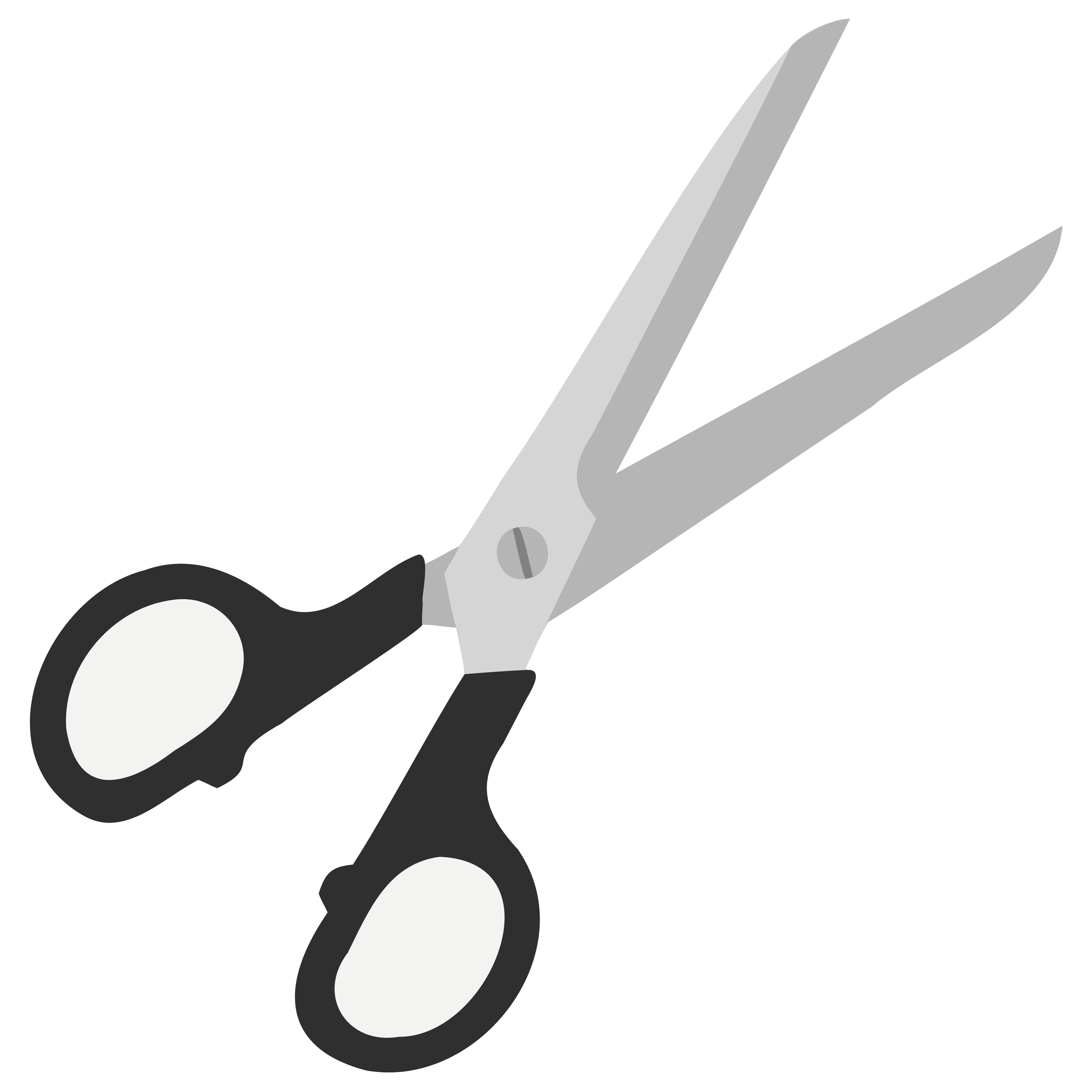 Heavy Duty Scissors